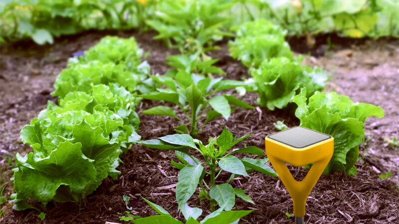 TECHNOLOGY PAGE - 7 in 1 Soil Sensor