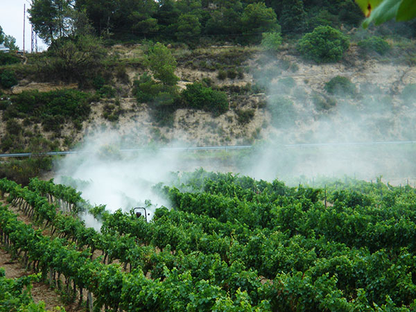 TECHNOLOGY PAGE - AUTOMATED FERTIGATION