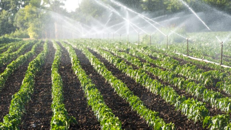 Tecchnology Page- Automatic Irrigation 02